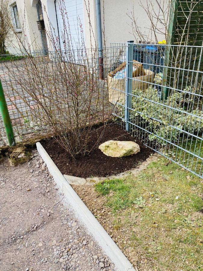 Pension Platzhirsch Mücke Exteriér fotografie