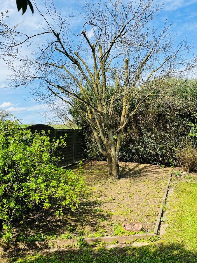 Pension Platzhirsch Mücke Exteriér fotografie